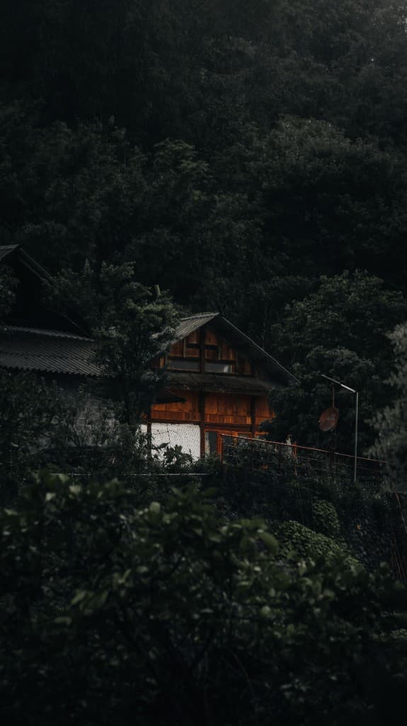 A wooden cabin nestled among dense dark green trees on a hillside.