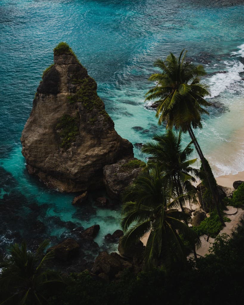 A rocky sea stack and palm trees above a turquoise cove seen from a cliff.