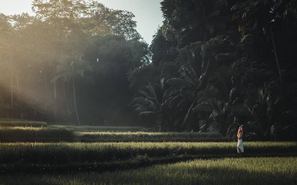 A lone figure standing in a sunlit rice terrace bordered by dense tropical trees.