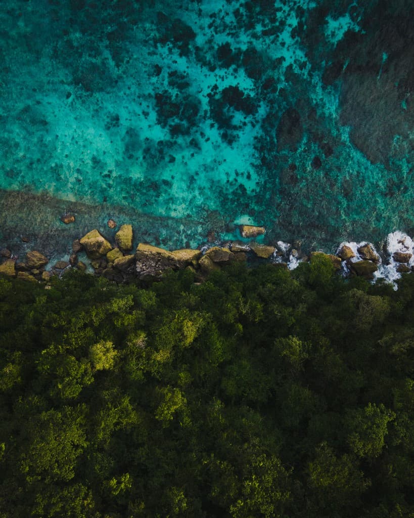 Turquoise water meeting a rocky tropical shoreline beside dense green jungle.